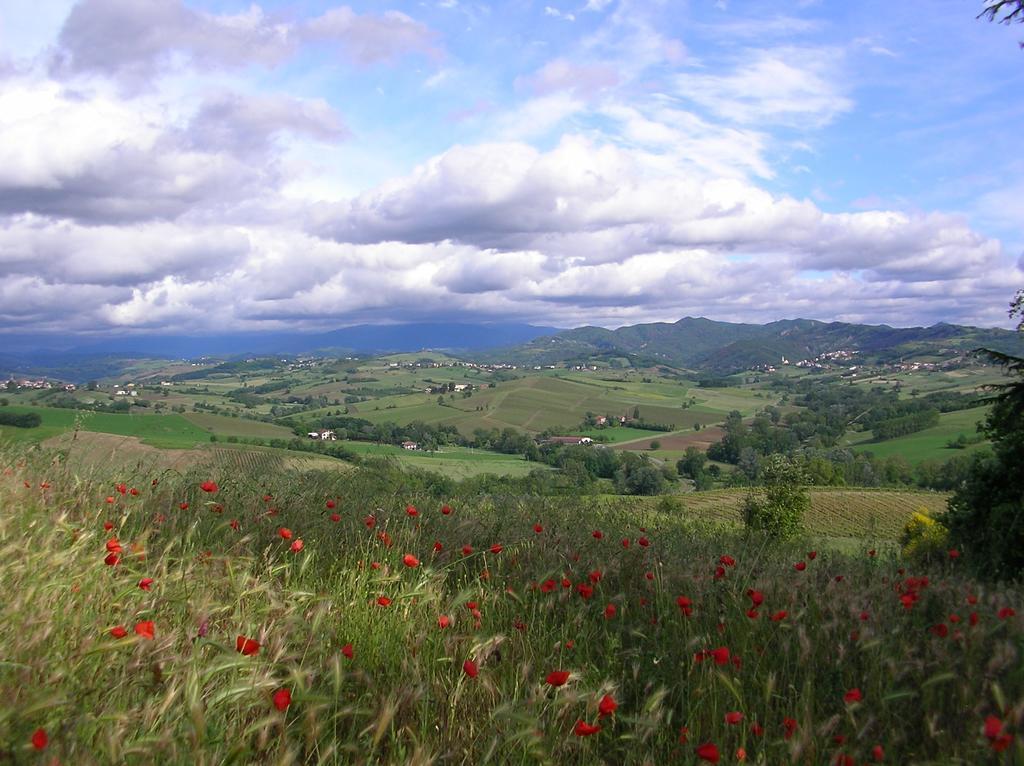 Villa Dei Romaniani Villaromagnano Exteriör bild