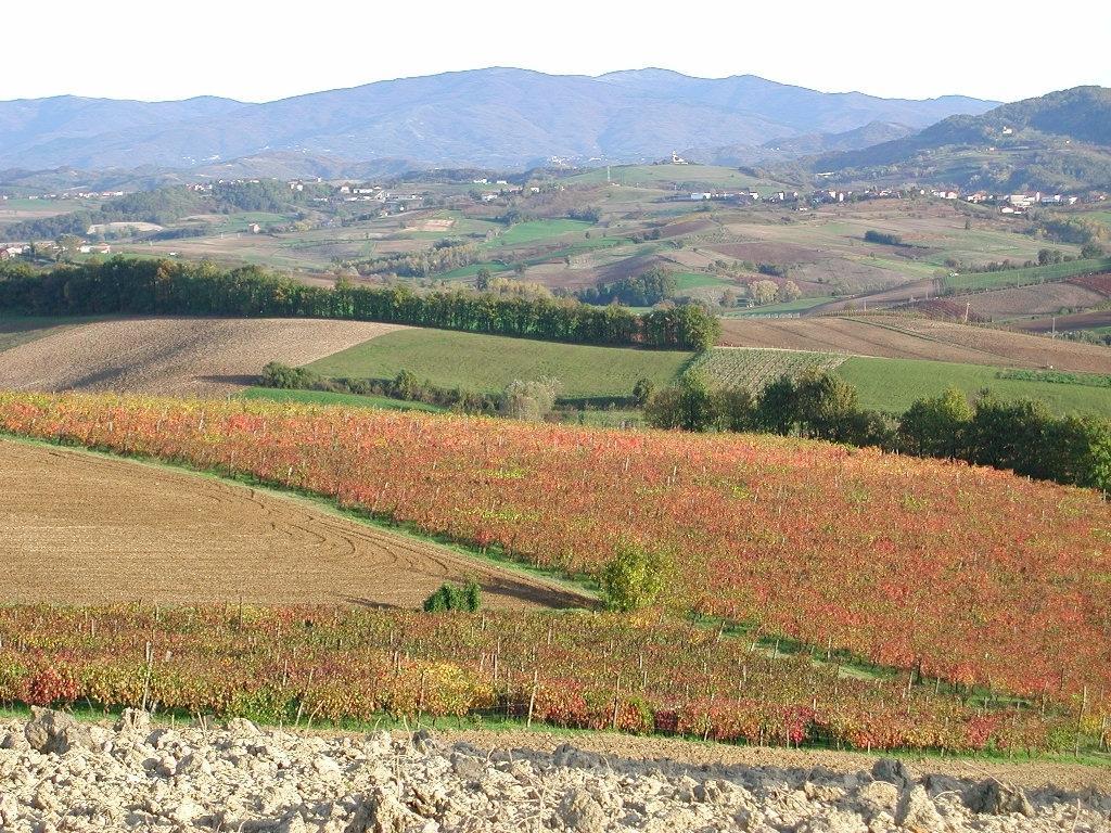 Villa Dei Romaniani Villaromagnano Exteriör bild